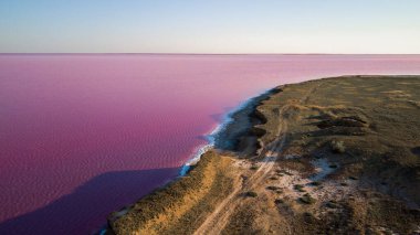 Ukrayna 'daki Pembe Tuz Gölü manzarası. Kırmızı pigmentli bir yosunun alışılmadık rengi. İnanılmaz deniz manzarası.