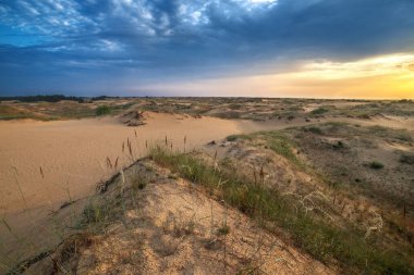 desert landscape at sunrise. summer background. Ukraine