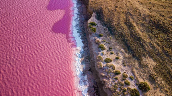 stock image Scenic colorful Pink Salt Lake in Ukraine. unusual color cause of an algae with red pigments. Amazing seascape.