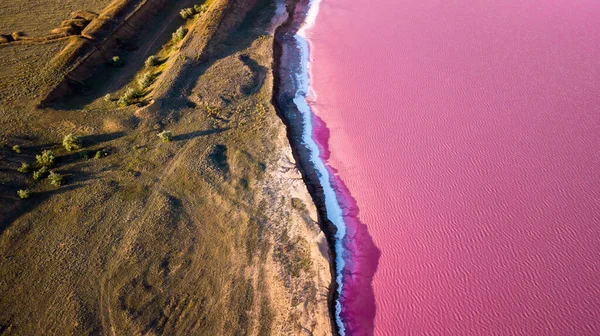 ウクライナの風光明媚なカラフルなピンクの塩湖 赤い色素を持つ藻類の異常な色の原因 素晴らしい海景 ロイヤリティフリーのストック写真