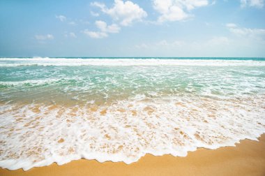 Okyanus kıyısındaki egzotik kumlu plaj. doğal arkaplan.