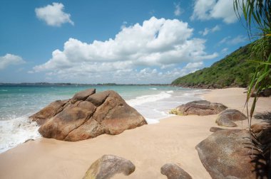 Okyanus kıyısındaki egzotik kumlu plaj. doğal arkaplan.
