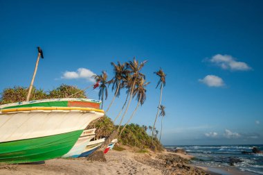 Okyanus kıyısındaki egzotik kumlu plaj. doğal arkaplan.