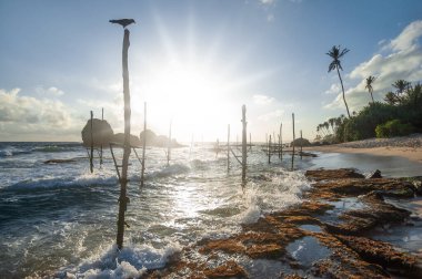 Okyanus kıyısındaki egzotik kumlu plaj. doğal arkaplan.