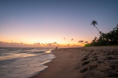 Okyanus kıyısındaki egzotik kumlu plaj. doğal arkaplan.