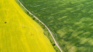 Çiftlik arazisinin havadan görünüşü. İHA atışı