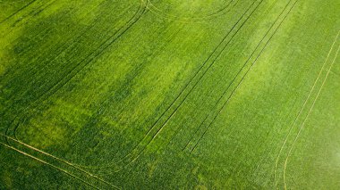 Çiftlik arazisinin havadan görünüşü. İHA atışı