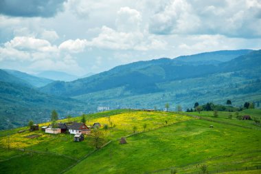 inanılmaz bahar (yaz) dağ manzarası. doğal arkaplan