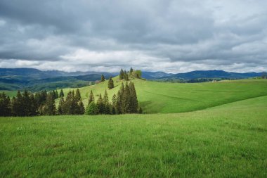 inanılmaz bahar (yaz) dağ manzarası. doğal arkaplan