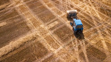 erial manzara modern tarım ekipmanları, makineler, traktör hasat buğday tarlası. Mevsimlik işler. İHA atışı. Yukarıdan gelen tarlalar