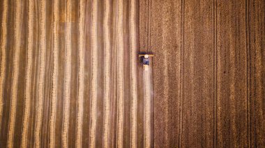 erial manzara modern tarım ekipmanları, makineler, traktör hasat buğday tarlası. Mevsimlik işler. İHA atışı. Yukarıdan gelen tarlalar