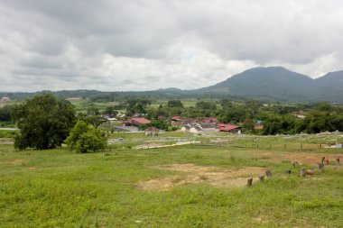 Ipoh, Perak, Malezya - Kasım 2012: Ipoh kentinin dışındaki terk edilmiş Puse köyünün çevresindeki yeşil manzara.