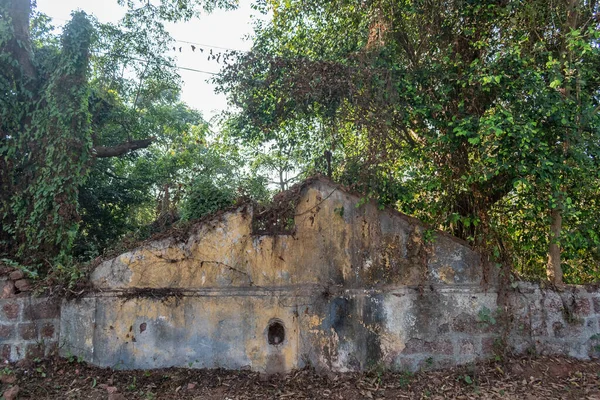 Ruïnes Van Een Oud Portugees Tijdperk Gebouw Begroeid Met Bomen — Stockfoto