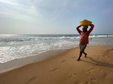 Candolim, Goa, Hindistan - Ocak 2023: Bir sahil aşınmasını önlemek için kafasına kum taşıyan bir adam.