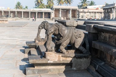 Belur, Karnataka, Hindistan - 9 Ocak 2023: Belur 'daki antik Chennakeshava kompleksinin tapınaklarından birinin girişindeki güzel fil heykelleri.