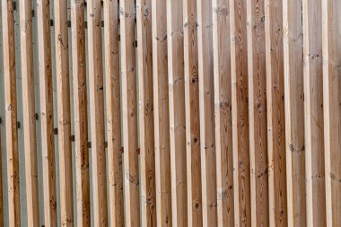 Rustik duvar yarısı kapalı ortak Ivy tarafından zarar görmüş. Olarak da bilinen Hedera helix, İngilizce sarmaşık veya Avrupa Ivy. Kopya alanı ile.