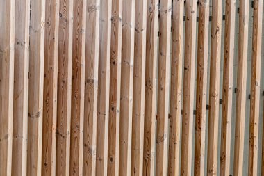 Rustik duvar yarısı kapalı ortak Ivy tarafından zarar görmüş. Olarak da bilinen Hedera helix, İngilizce sarmaşık veya Avrupa Ivy. Kopya alanı ile.