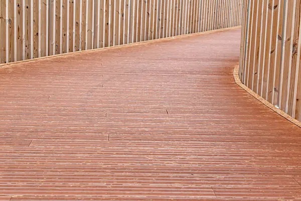 Rustik duvar yarısı kapalı ortak Ivy tarafından zarar görmüş. Olarak da bilinen Hedera helix, İngilizce sarmaşık veya Avrupa Ivy. Kopya alanı ile.