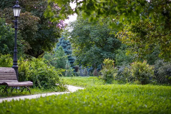 Dolambaçlı bir yol, canlı bir yeşillik ve büyüleyici bir klasik lamba direğinin yer aldığı sakin ve sakin bir park sahnesi.