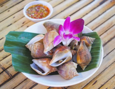 Kaynatılmış Babil areolata 'yı beyaz tabakta kapat. Deniz ürünleri yerel yemekleri buğuladı..