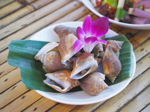 Kaynatılmış Babil areolata 'yı beyaz tabakta kapat. Deniz ürünleri yerel yemekleri buğuladı..