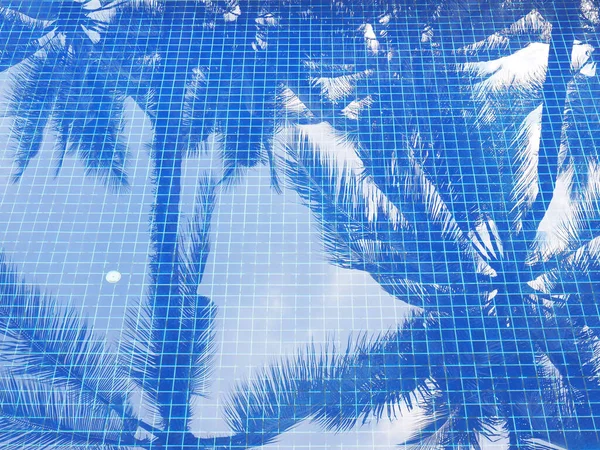 青いモザイクタイルとスイミングプールでココナッツの木の葉の反射 — ストック写真