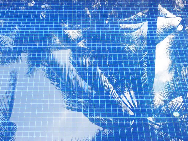 Reflexion Der Kokosnussblätter Schwimmbad Mit Blauen Mosaikfliesen — Stockfoto