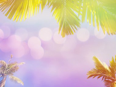 Tropik yeşil palmiye ve hindistan cevizi yaprakları açık mavi gökyüzü arkaplanı üzerinde, vintage filtre etkisi