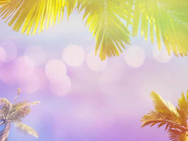 热带绿色棕榈和椰子叶覆盖蓝天背景 古埃及过滤效果 — 图库照片
