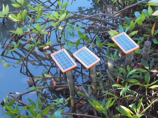 Portable Solar Panel Setting Pond Outdoors Lighting Small Solar Battery — Stock Photo, Image