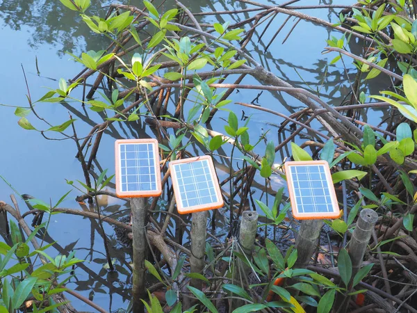 Portable Solar Panel Setting Pond Outdoors Lighting Small Solar Battery — Stock Photo, Image