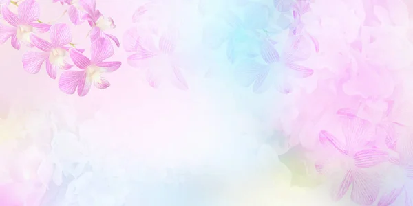 Blommig Abstrakt Pastell Bakgrund Med Kopia Utrymme Bukett Blommor Mjuka Stockfoto