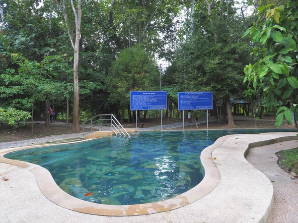Krabi Thailand April 2022 Pond Spa Hot Spring Waterfall Park — ストック写真