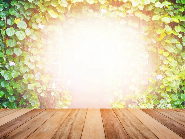 Wood Table Top Arch Creeper Plant Entrance Gate Sunlight Garden — Stock Photo, Image