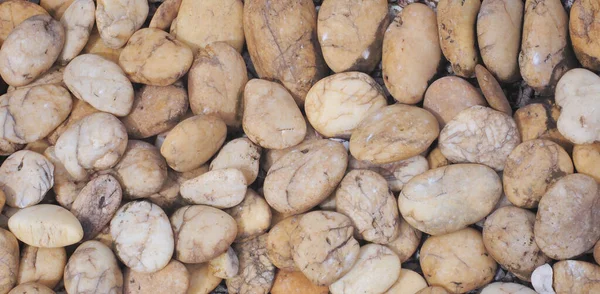Çakıl Taşlı Çakıl Taşlarını Kapatın Küçük Kaya Zemininin Dokusu Bahçe — Stok fotoğraf