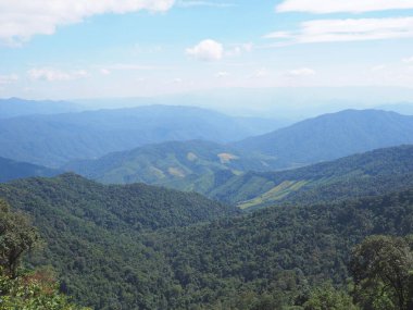 Green treetops on the mountain against blue sky. Natural rainforest background. clipart