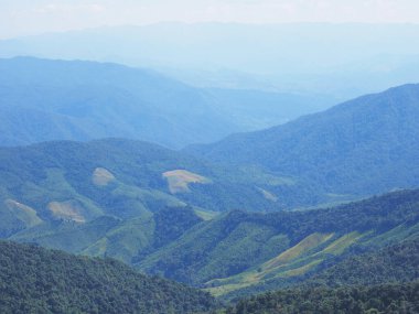 Dağda mavi gökyüzüne karşı yeşil ağaçlar. Doğal yağmur ormanı arkaplanı.