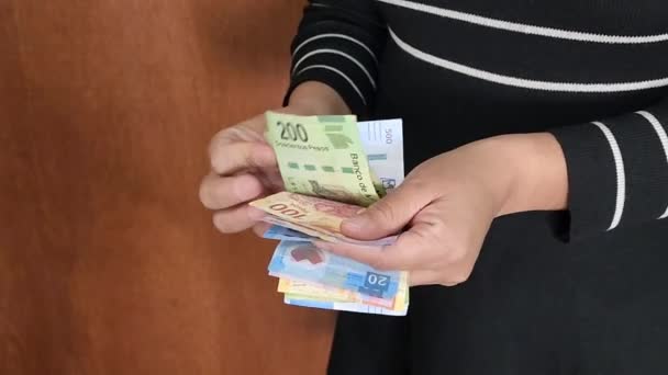 Manos Una Mujer Sosteniendo Contando Billetes Mexicanos — Vídeo de stock