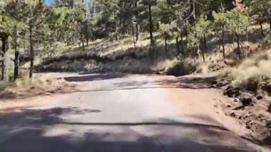 Nevado de Toluca yanardağına tırmanmak için motorsikletle toprak bir yolda seyahat ediyordu.