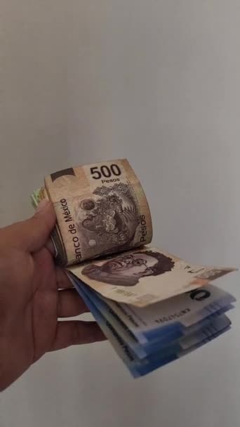 Mano Una Mujer Que Deja Caer Los Billetes Mexicanos Cámara — Vídeos de Stock