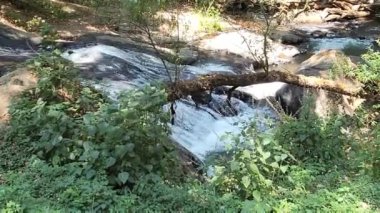 Meksika 'daki Avandaro Nehri' nin kayaları arasından akan tatlı su.