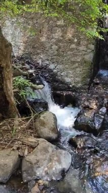 Meksika 'daki Avandaro Nehri' nin kayaları arasından akan tatlı su.