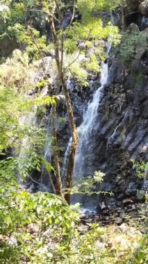 Meksika, Avandaro 'da kayaların arasında tatlı su şelalesi
