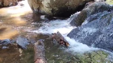 Meksika 'daki Avandaro Nehri' nin kayaları arasından akan tatlı su.