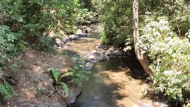 Пресная Вода Текущая Реке Авандаро Мексика Среди Растительности — стоковое видео