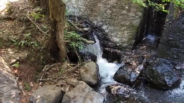 Słodka Woda Przepływająca Między Skałami Rzeki Avandaro Meksyk — Wideo stockowe