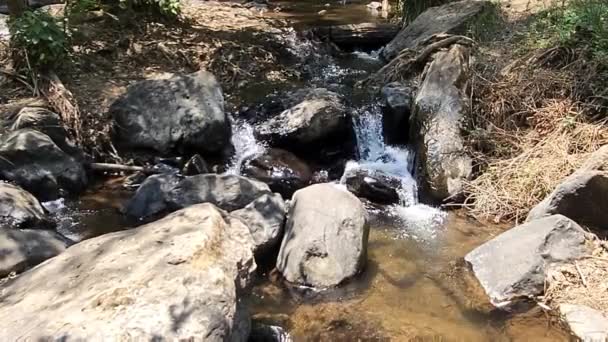 Пресная Вода Текущая Между Скалами Реки Авандаро Мексика — стоковое видео