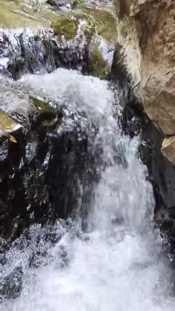 Słodka Woda Przepływająca Między Skałami Rzeki Avandaro Meksyk — Wideo stockowe