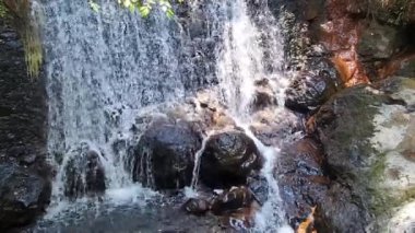 Meksika, Avandaro 'da kayaların arasında tatlı su şelalesi