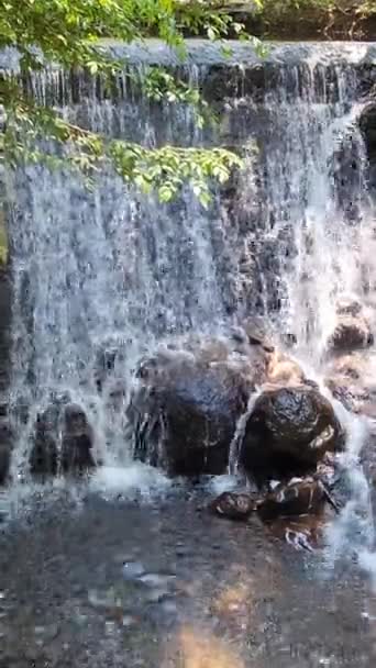 Пресноводный Водопад Авандаро Мексика Между Скалами — стоковое видео